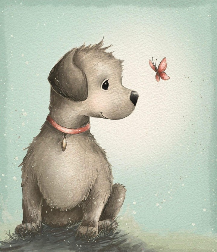 # illustration