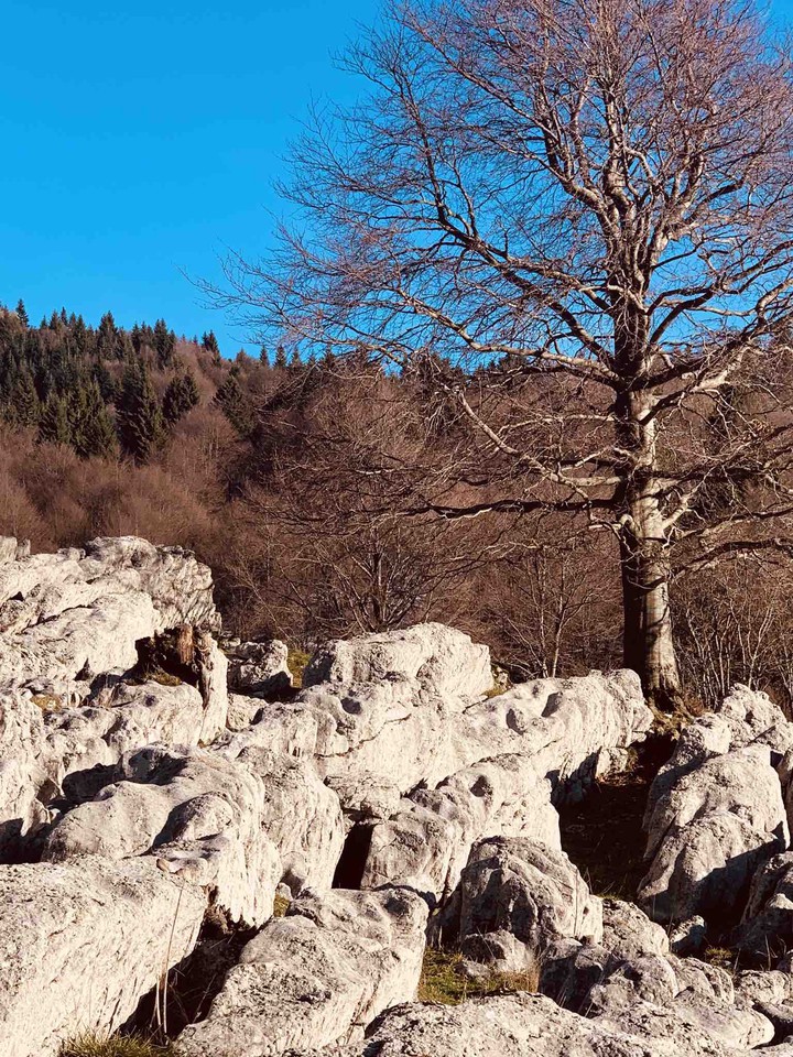 autumn in mountain