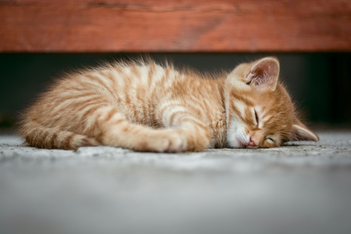 Me after 11:30 pm