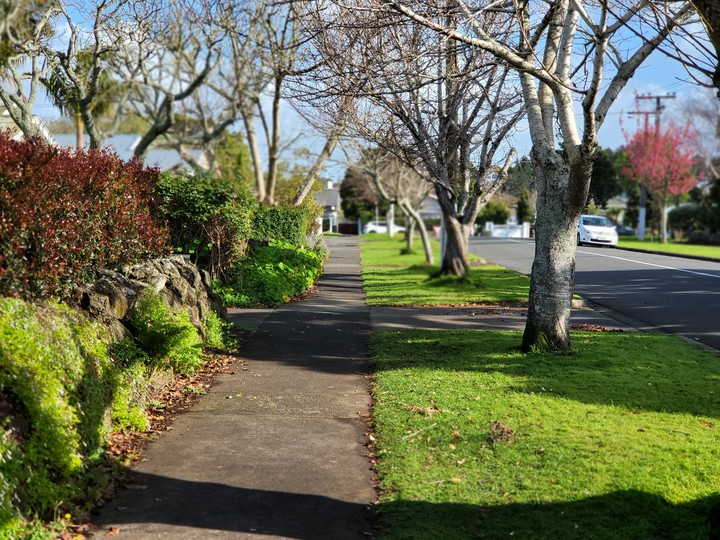 Auckland Rossgrove Tc at 9am Sep 11,2021