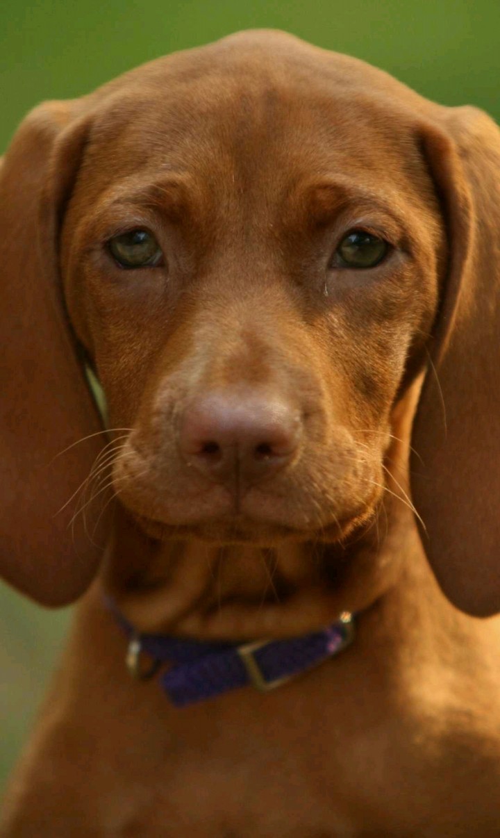 Those eyes!