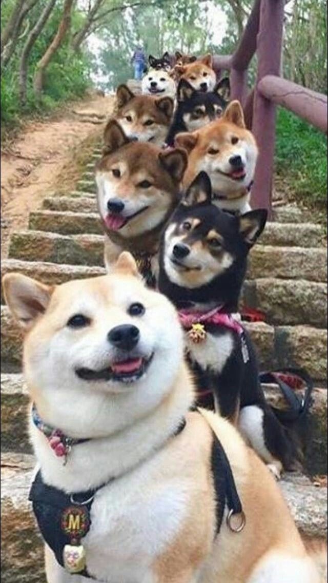 .