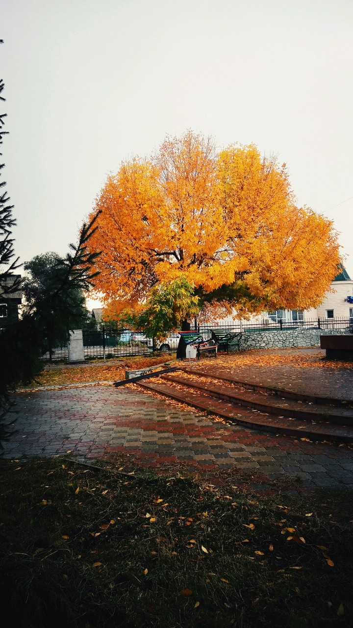 Осень