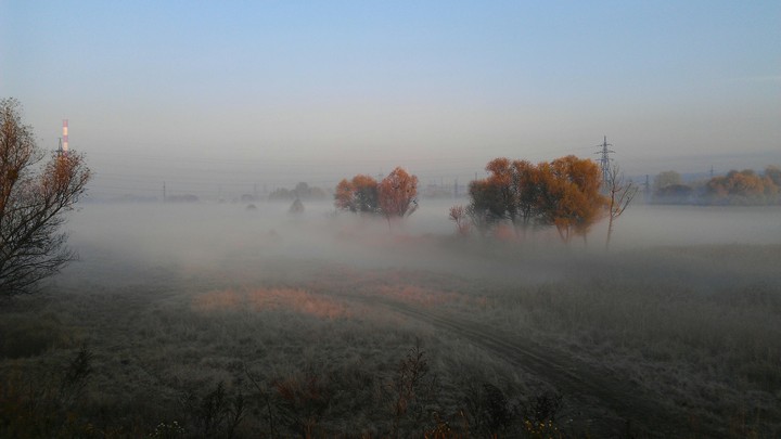 Morning fog.