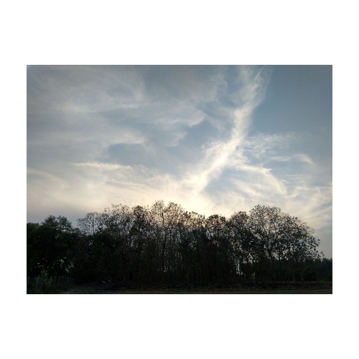 cloud