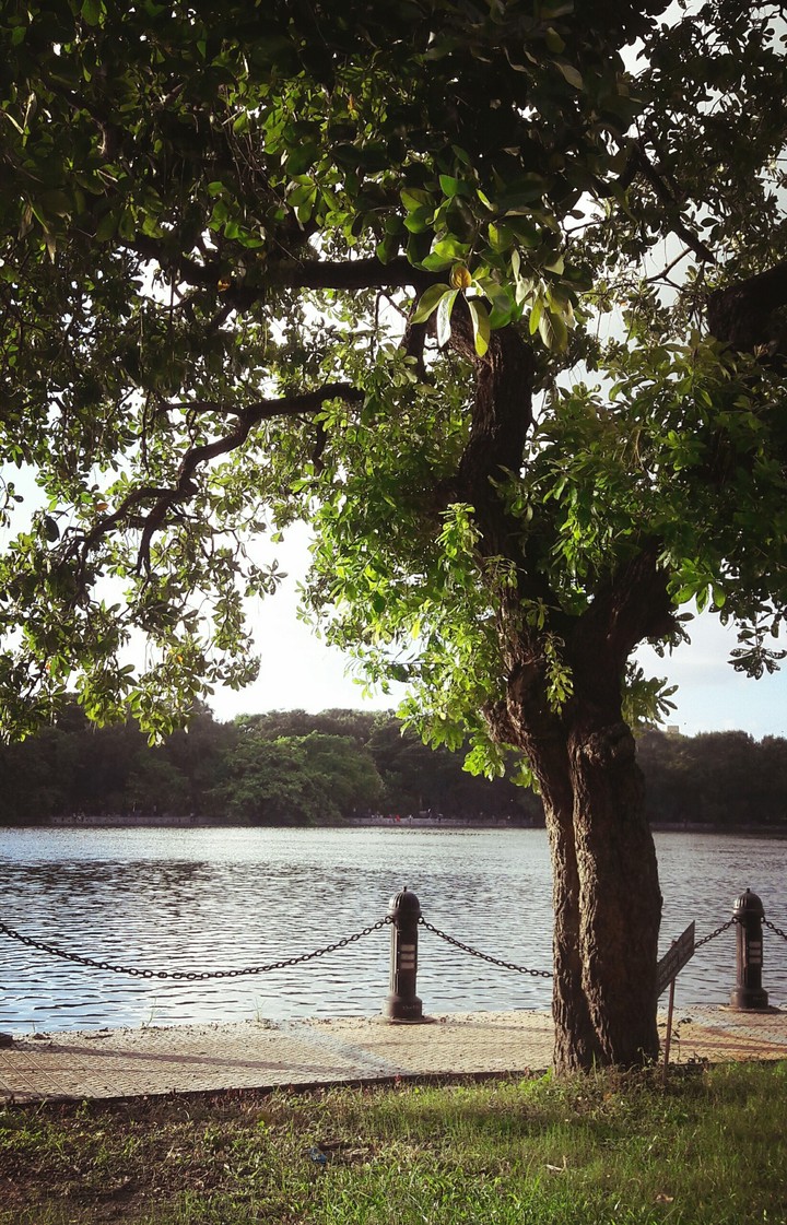 Lake view