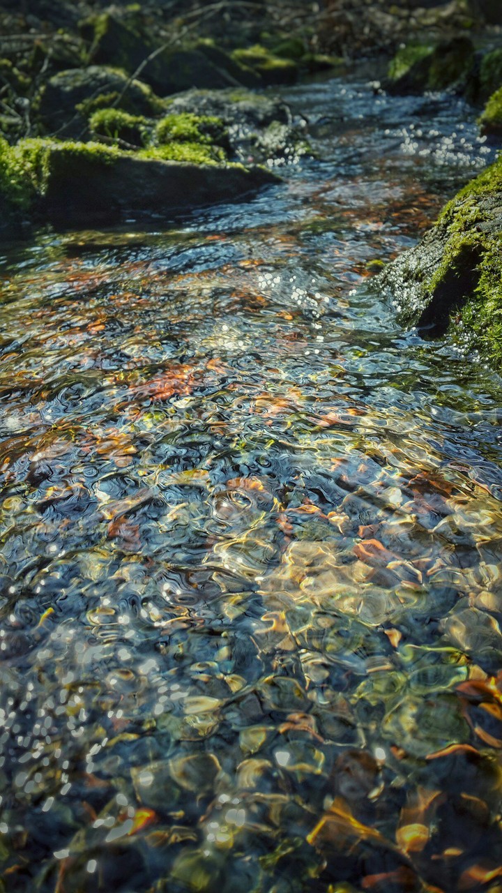 Beautiful Watercourse