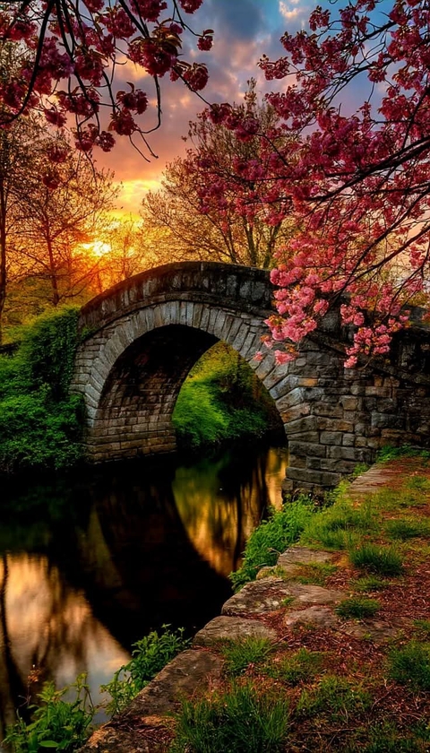 tapety canal, Bridge