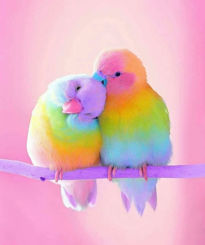 ?♡?♡?♡??