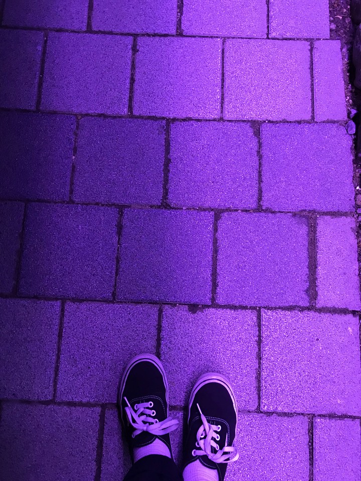 the purple way