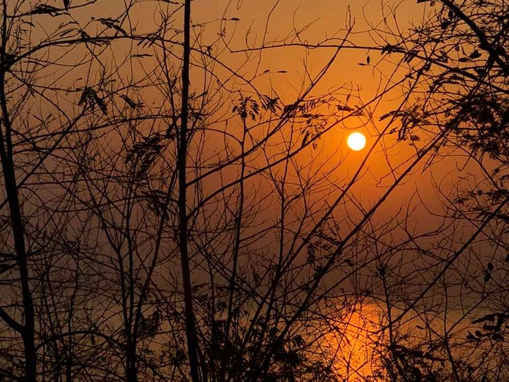 nature