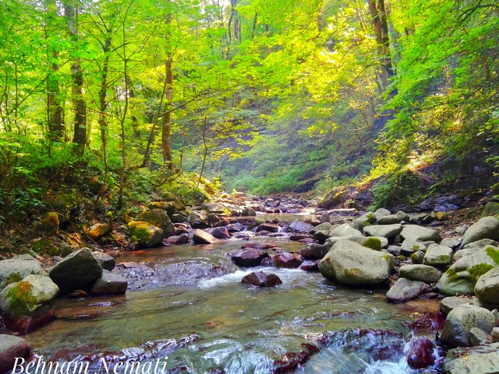 Siahkal Nature