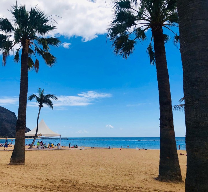 canarias