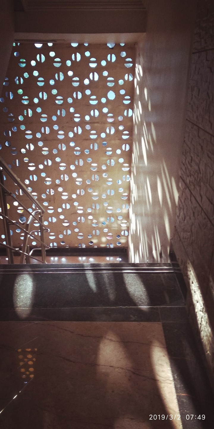 Sunlight