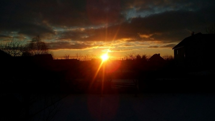 morning 