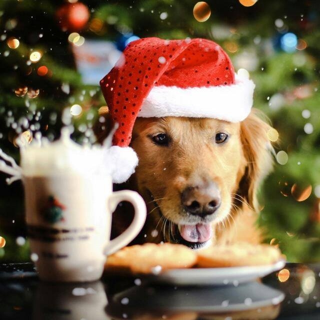 НОВЫЙ ГОД