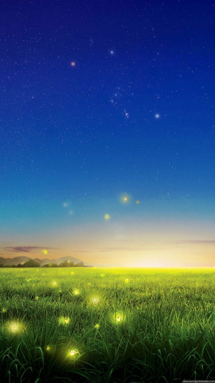night