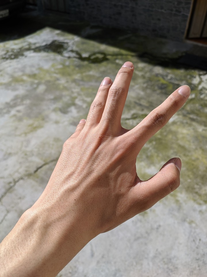 Hand  's'  Jan