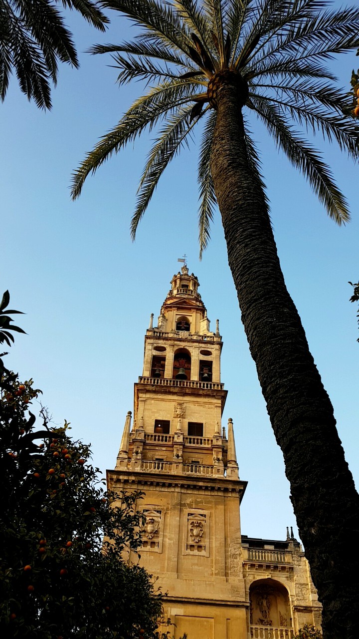 Cordoba
