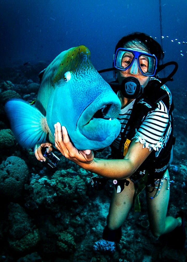 Diving in Australia