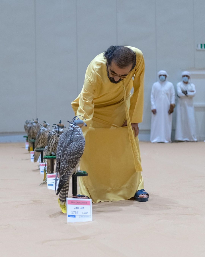 his majesty my father