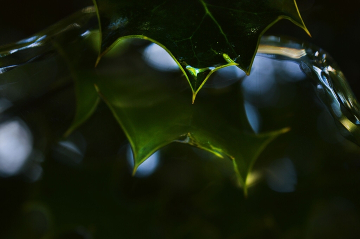 reflections