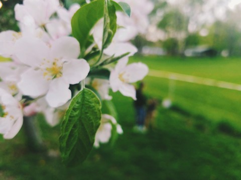 Spring has come again