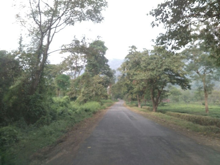 nature