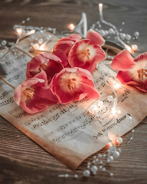 #An Ode to Love