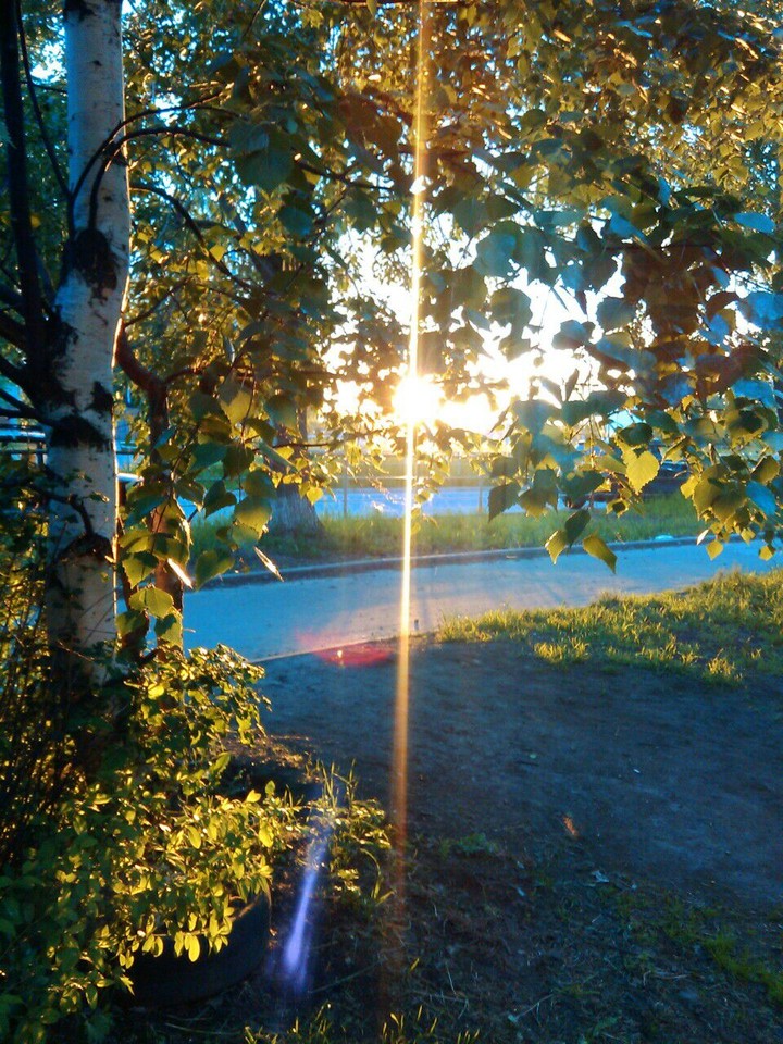 Sunny day with white wood