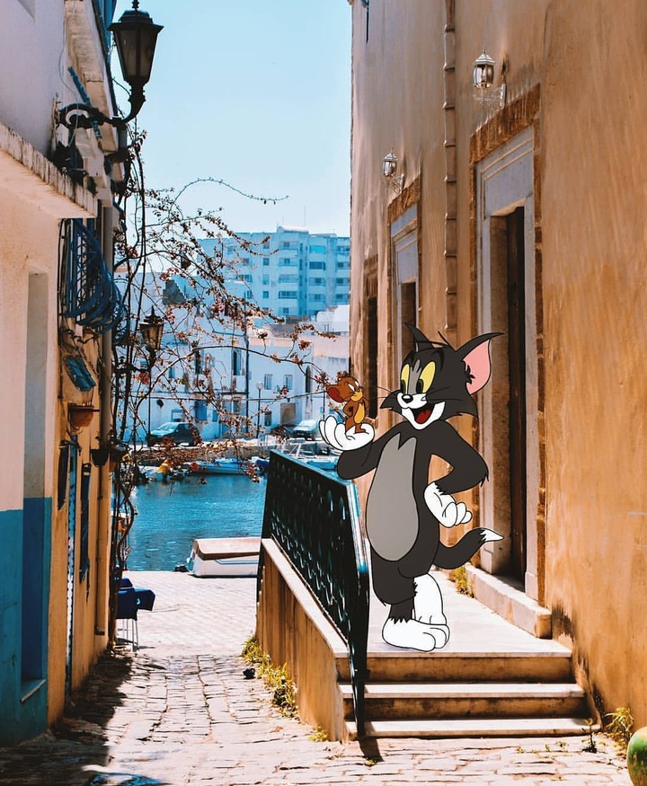 tom and jerry