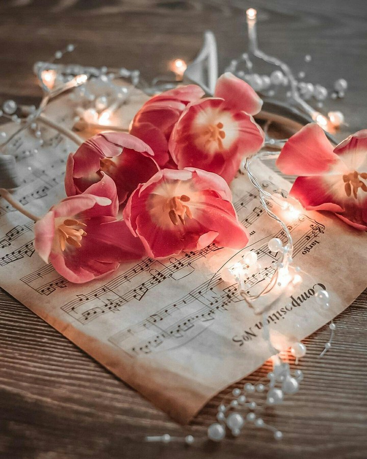 #An Ode to Love