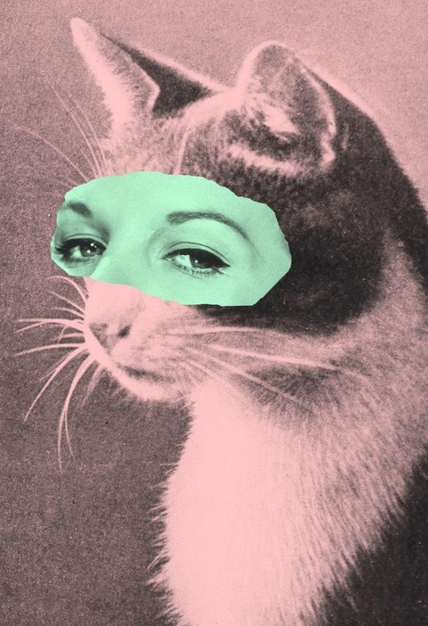girl like cat