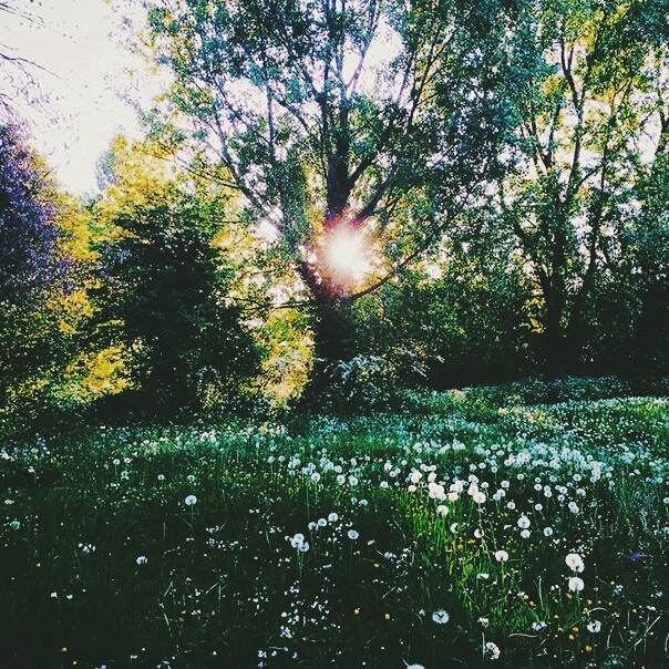 #живаяприрода#свобода #дикаяприрода #фотодня