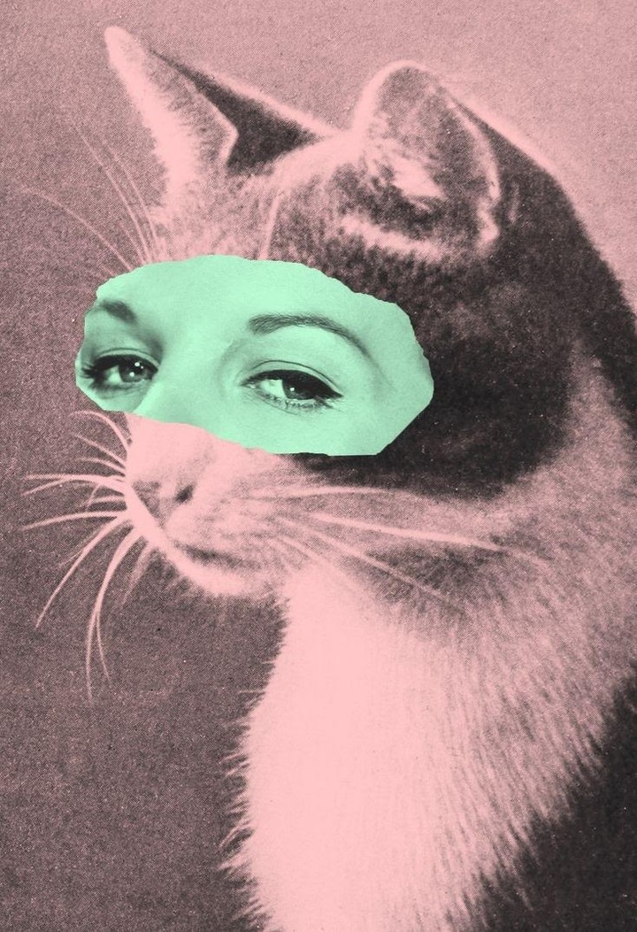 girl like cat