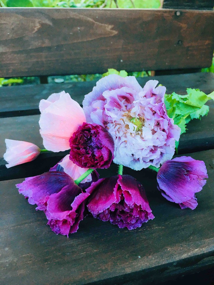 flowers
