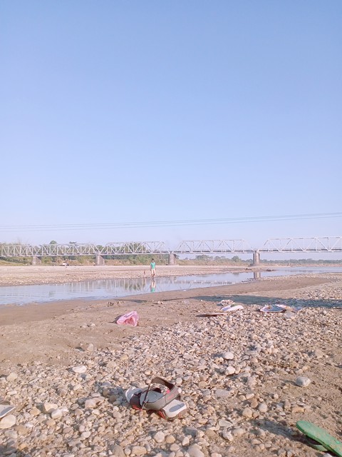 шпалери shore, wetland