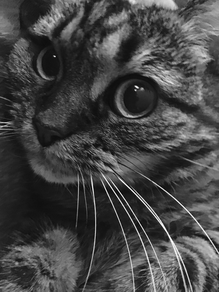 Black & White