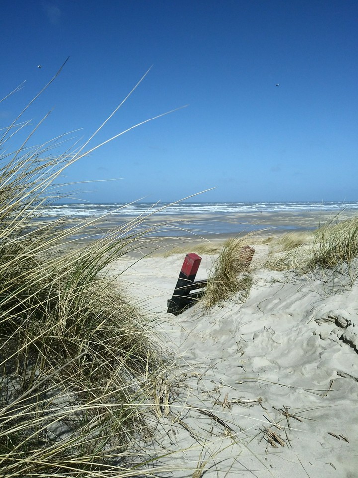 terschelling beach