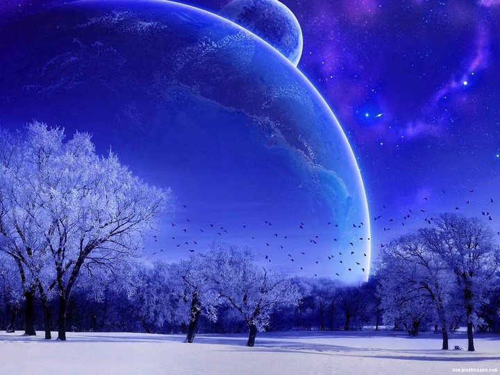 Beautiful Snowy World