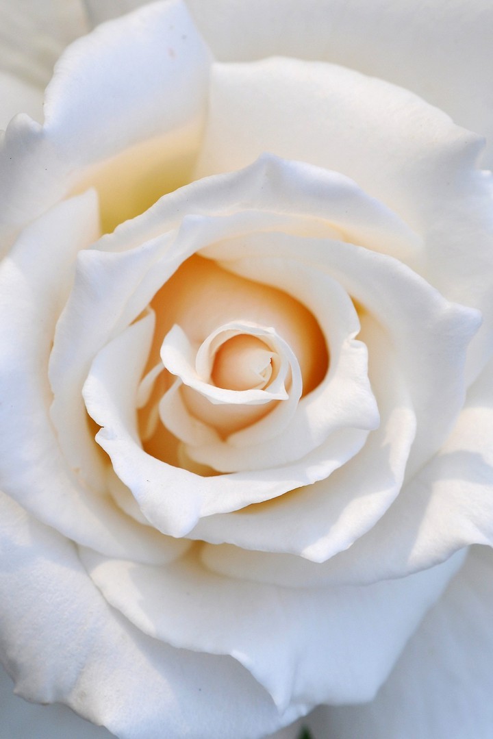 ♡~♤~♡