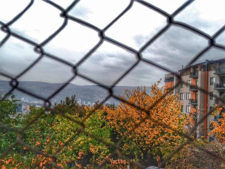autumn