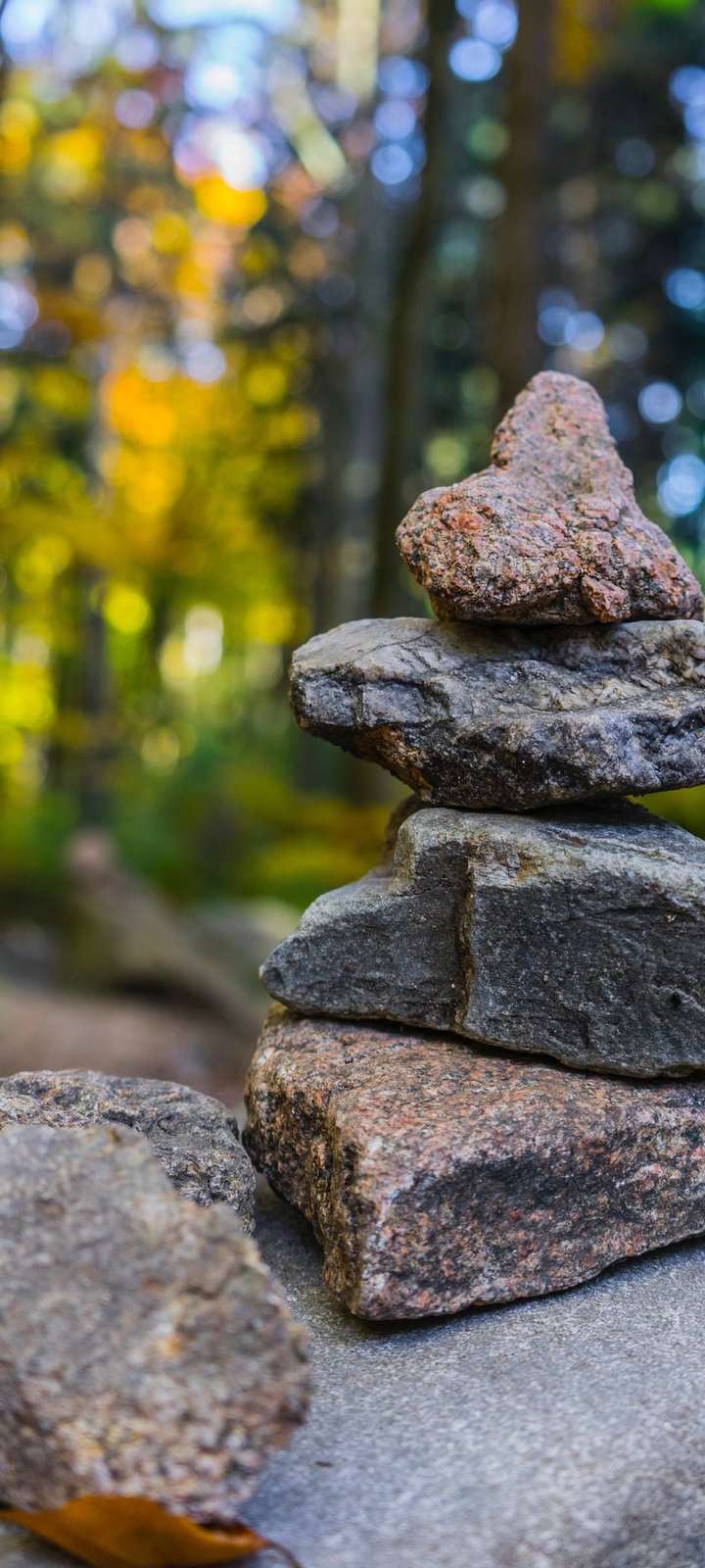 rocks