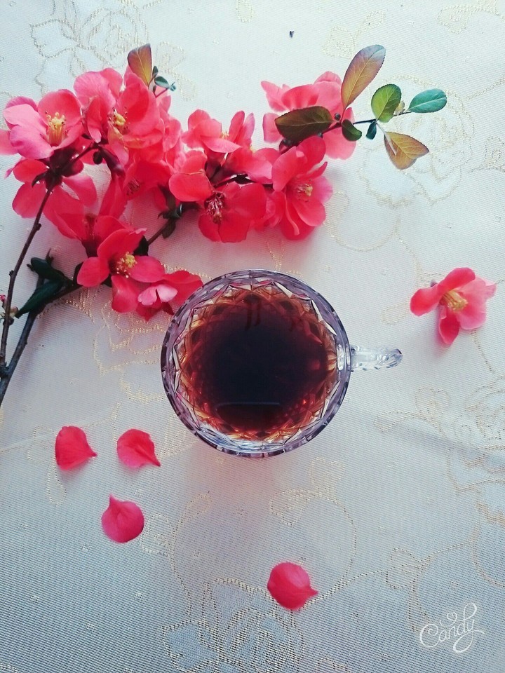 весна, кава ☕,чай, хрусталь, Art.кофе, чашка,фото