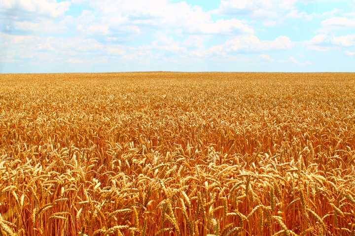 Ukraine