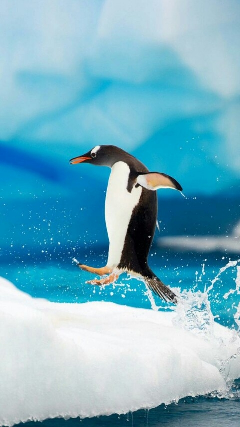 jump