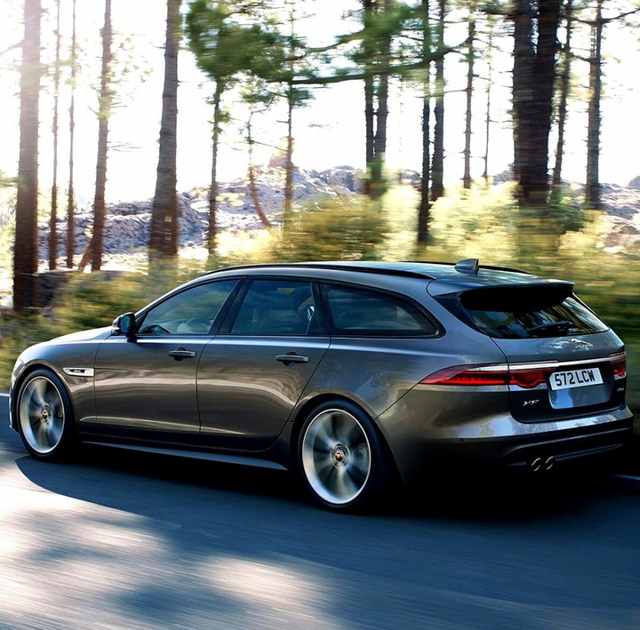 jaguar