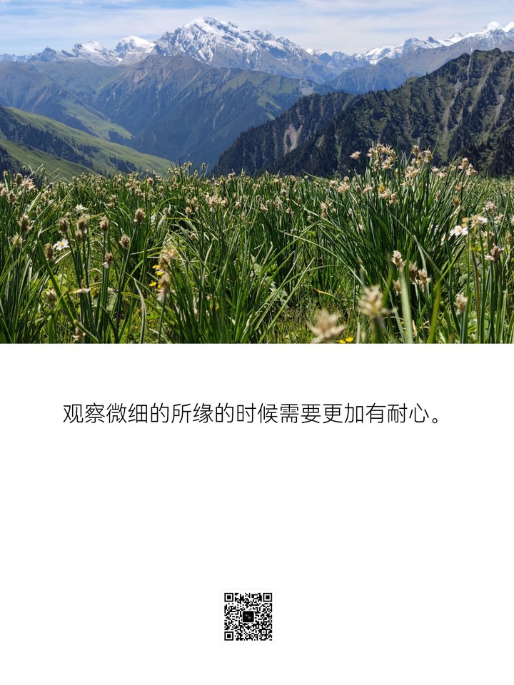 别被念头带走。