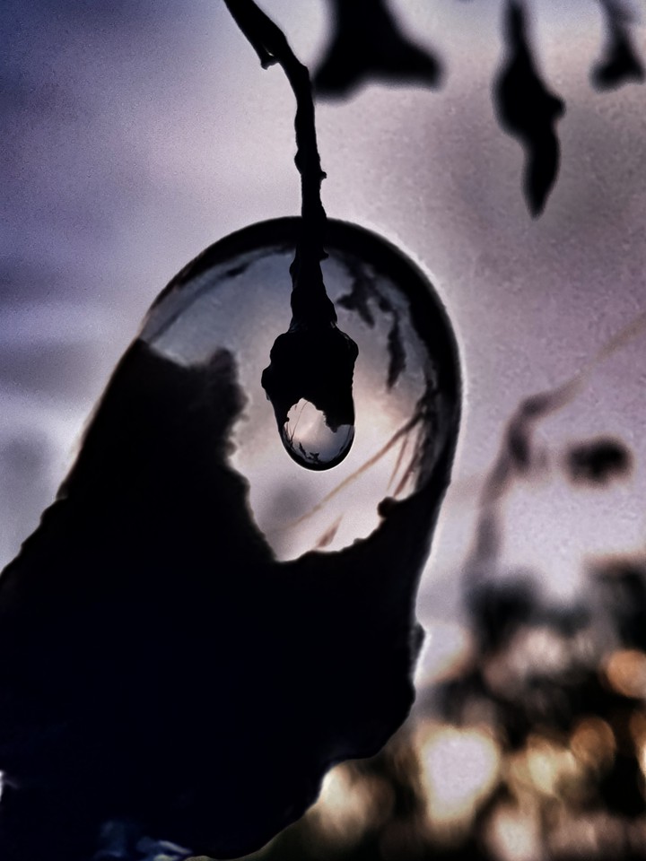 water drop
