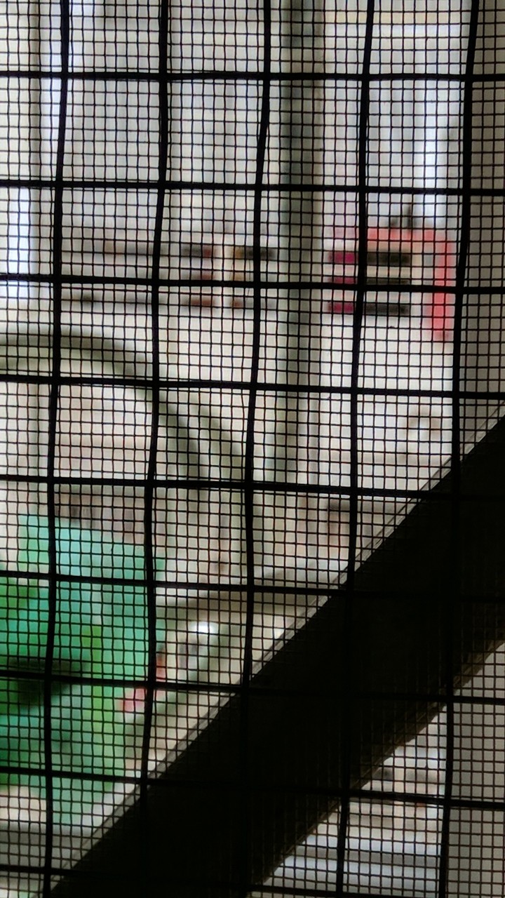 Balcony's door